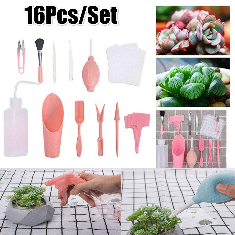 Bộ Dụng Cụ Trồng Cây Cảnh Bonsai Mini Trong Suốt N1N