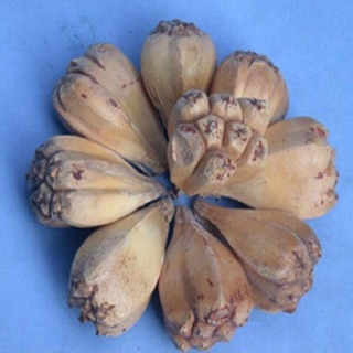 Quả dứa dại khô