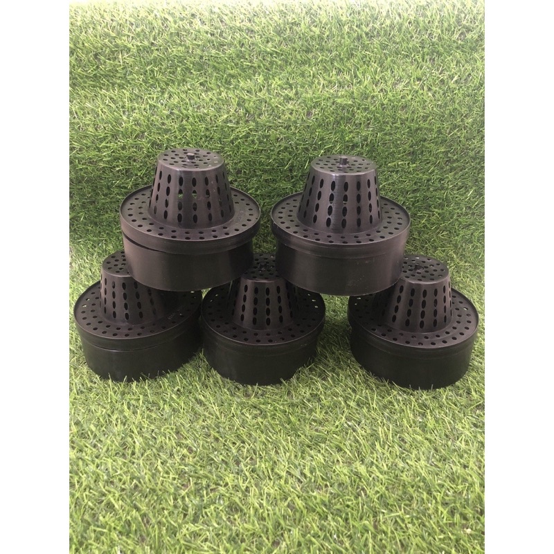 Cốc điều hoà sinh trưởng lan_ ảnh thật sắn kho