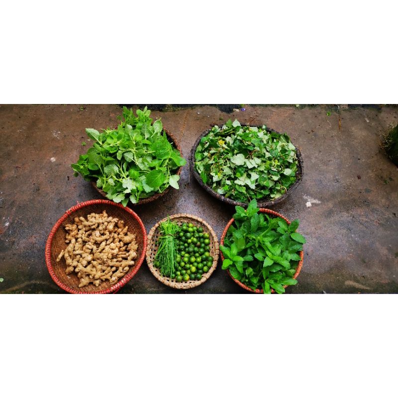 Siro thảo mộc Húng chanh Nhung Mộc Handmade