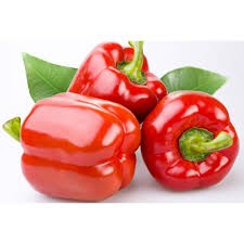 HẠT GIỐNG ỚT CHUÔNG ĐỎ GÓI 30 HẠT
