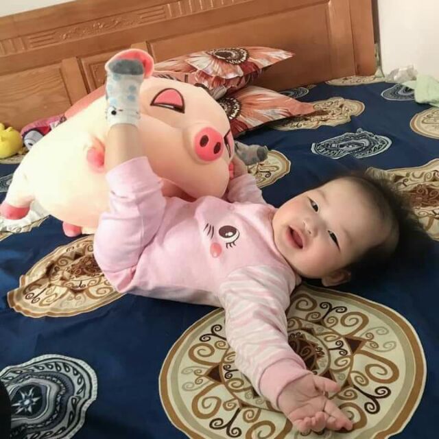 Gối ôm 3d heo hí 50cm