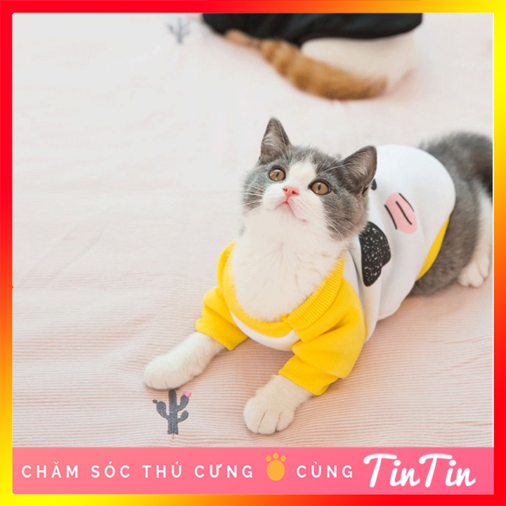 Áo cho Chó Mèo - Áo mùa đông cho thú cưng chất đẹp kiểu dáng dễ thương
