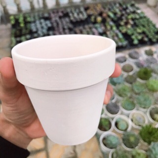 CHẬU ĐÂT NUNG TRỒNG CÂY SEN ĐÁ CHẬU MINI