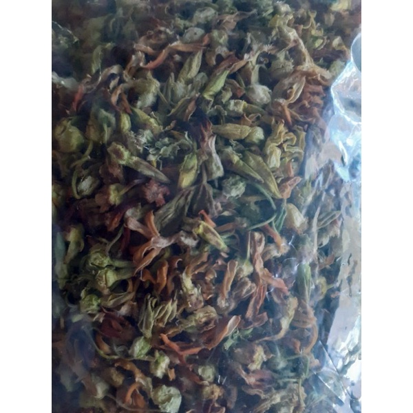 Bầu cây giống thiên lý/  pha trà/trà thảo mộc