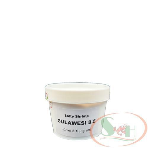 Khoáng Bột Salty Shrimp Sulawesi Mineral 8.5 Cao Cấp