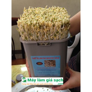 Máy Làm Giá Đỗ,Thiết Bị Làm Giá Đỗ Sạch Tại Nhà