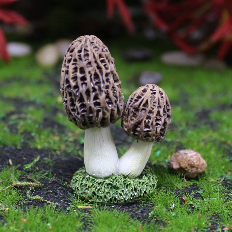 Mô hình cụm nấm nhiều màu đẹp có thể trang trí bể thủy sinh, tiểu cảnh, terrarium, DIY