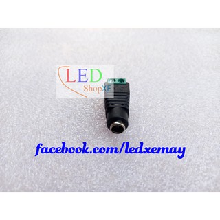 Jack DC đực - cái