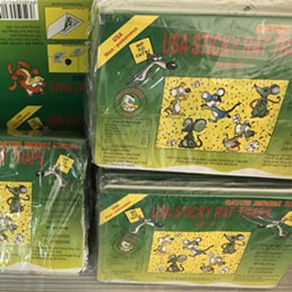 2 MIẾNG KEO DÁN CHUỘT TỐT