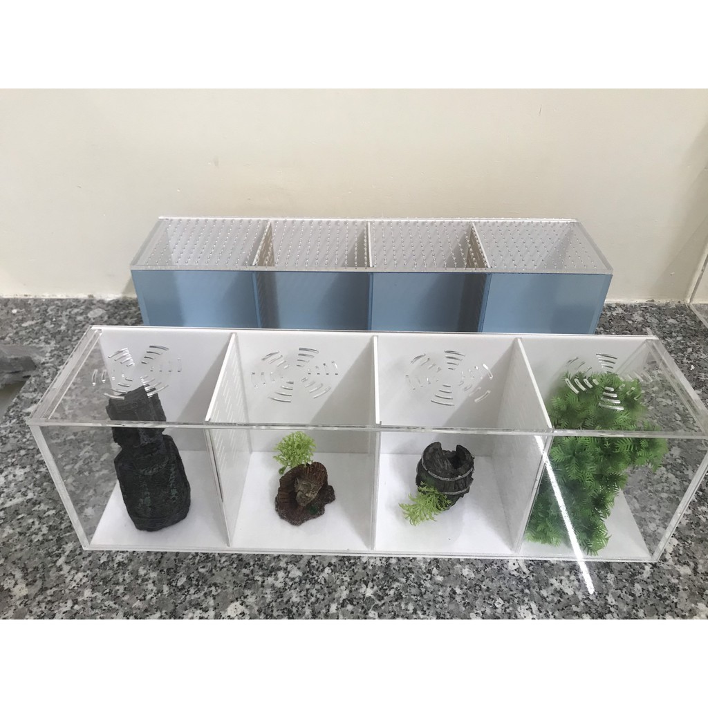 Bể cá/ hồ show cá 4 ngăn ( giá tại xưởng)