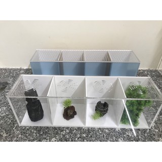 Bể cá/ hồ show cá 4 ngăn ( giá tại xưởng)