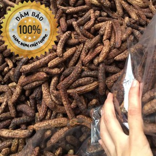 Chuối hột rừng