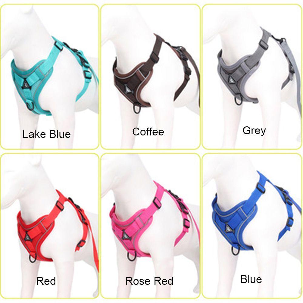 YNATURAL Breathable Small Dog Harness Leash Animal Leash Vest-style Dog Harness Anti-lost Dog Collar Dog Accessories Cat Accessories Walking Dog Leash/Multicolor