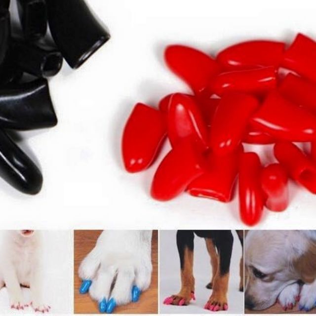 Móng tay giả cho chó mèo