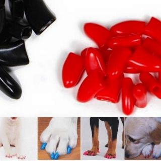 Móng tay giả cho chó mèo