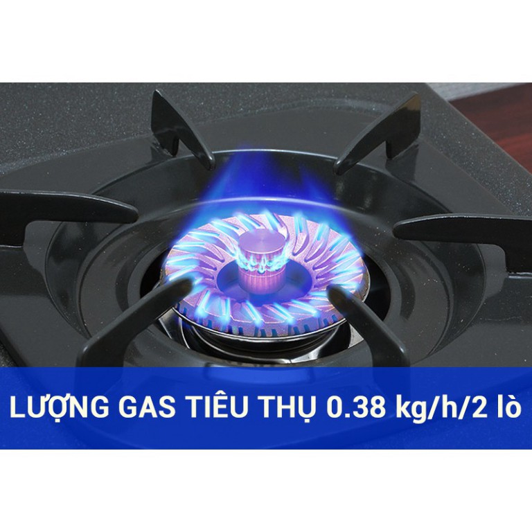 Bếp Gas Đôi Rinnai RV-377N , Siêu Tiết Kiệm Gas - Chén Đồng Có Đầu Hâm