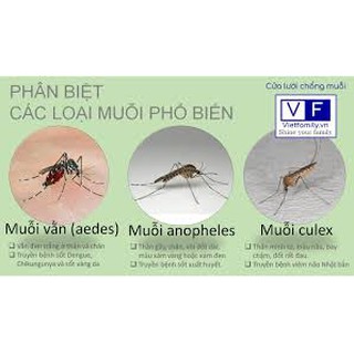 THUỐC XỊT MUỖI Y TẾ 100ML