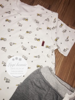 Set bộ bé trai xuất dư
