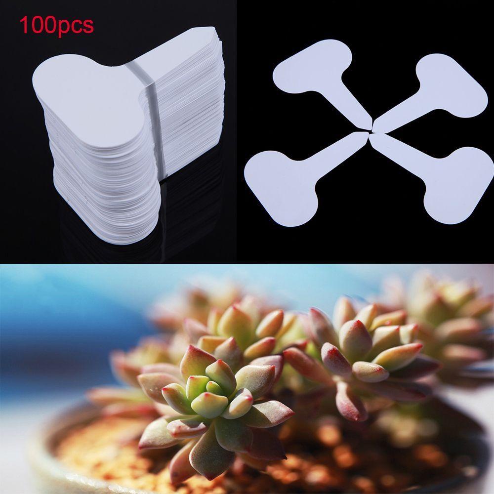Set 100 Thẻ Nhựa Dày Gắn Chậu Cây