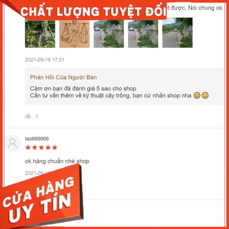SIÊU LÂN MAP💖GÓI TO GIÁ RẺ, HÀNG CHÍNH HÃNG💖kích rễ,bật chồi,đẻ nhánh,nở bụi to,hết vàng lá, phục hồi cây 2