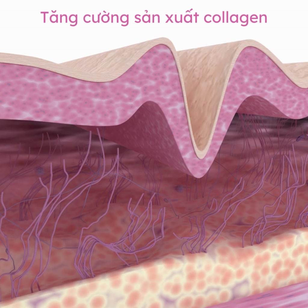 Viên uống Feelex VTM Vitamin C bổ sung vitamin C, sáng da, mờ thâm, tăng cường đề kháng - gói 60 viên(30 ngày) | BigBuy360 - bigbuy360.vn