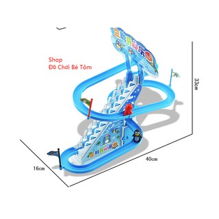 BỘ CHIM CÁNH CỤT LEO CẦU THANG