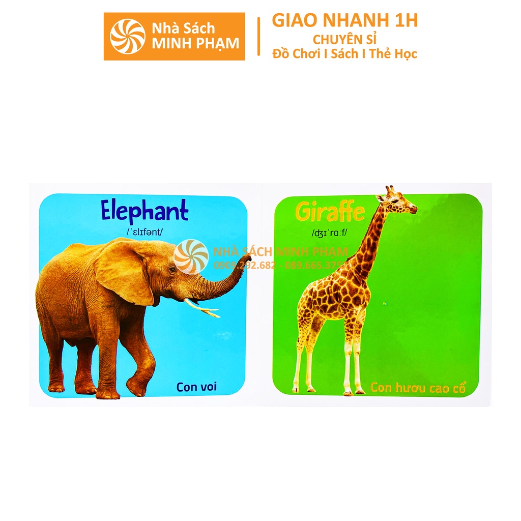 Sách Thư Viện Hình Ảnh Đầu Tiên Cho Bé Nhận Biết Thế Giới Xung Quanh (10 Cuốn)