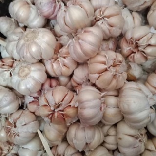 Hành tỏi khô 1kg