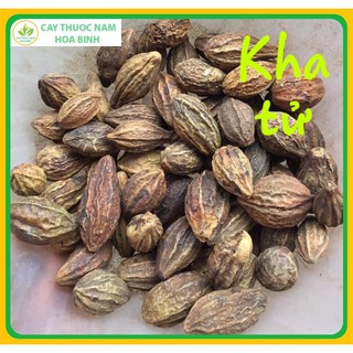 [GIÁ BÁN BUÔN] 100g Quả Kha Tử loại 1 (Khô, Sạch, Đẹp, Đều)