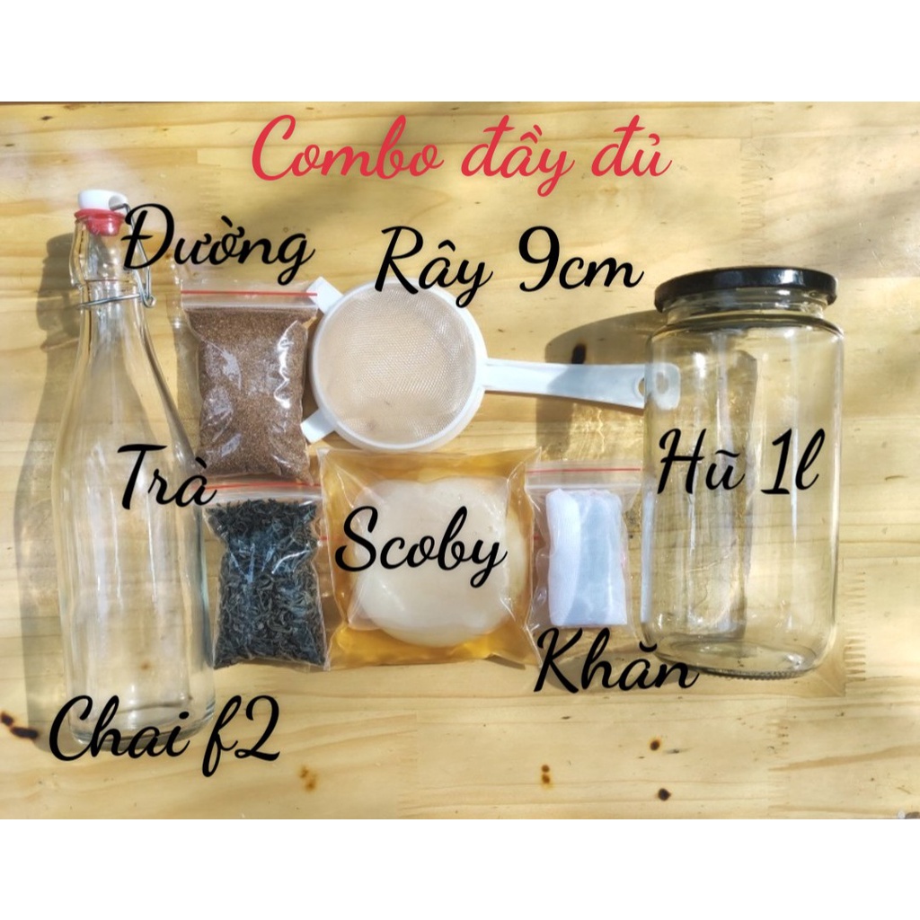 Combo SCOBY/KOMBUCHA Đầy Đủ kèm nước mồi nuôi cho người mới (7 món)