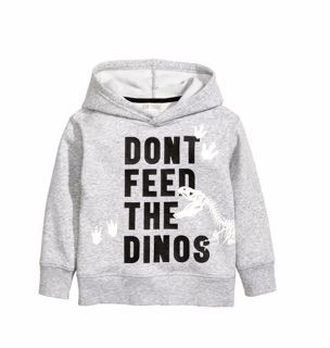Áo nỉ H&M dư xịn đét