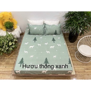Bộ Ga, Gối Poly Cotton Với Nhiều Kiểu Dáng Dễ Thương Bắt Mắt, Lựa Chọn Hàng Đầu Của Người Tiêu Dùng