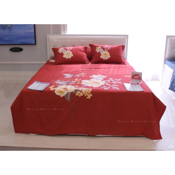 Bộ ga gối Sông Hồng Basic cotton BC22064
