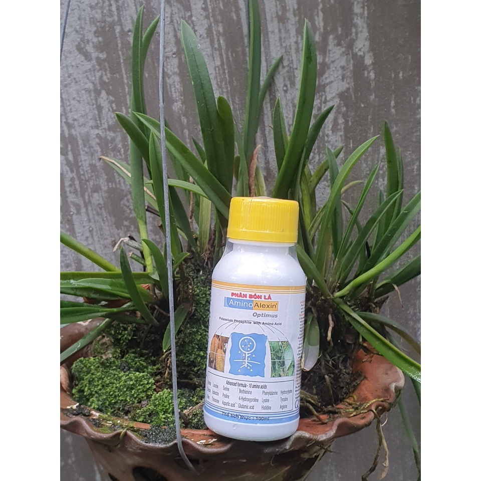 Phân bón AMINO ALEXIN  chai 100ml  - Chuyên trừ  thối lá  -Mai Huy
