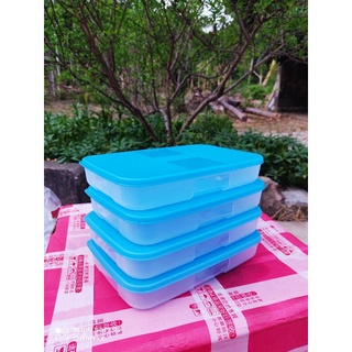 Bộ 4 hộp trữ đông dẹt Tupperware♥️set ngăn đông dẹt 650ml