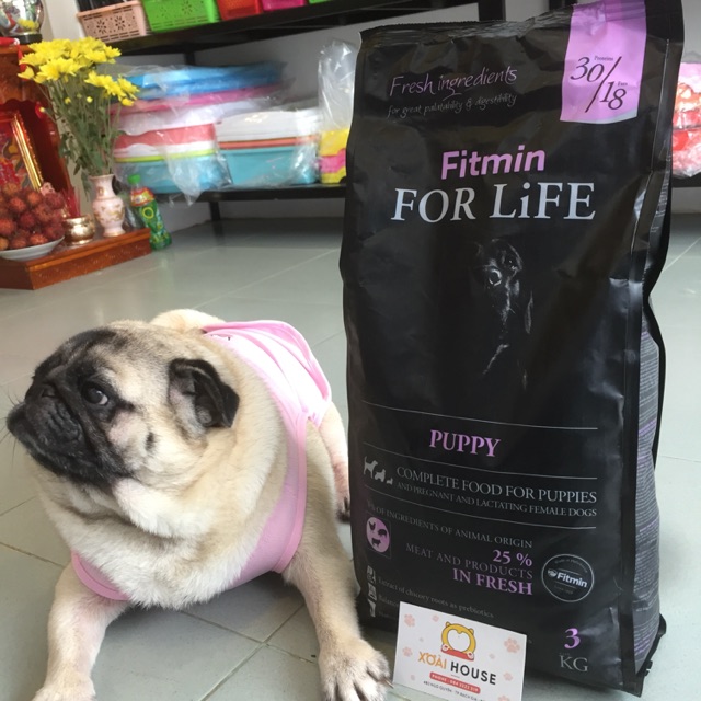 Thức Ăn Fitmin For Life Puppy - 3kg