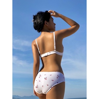 Đào Basic Bralette - áo lót cotton không gọng (tặng kèm mút)