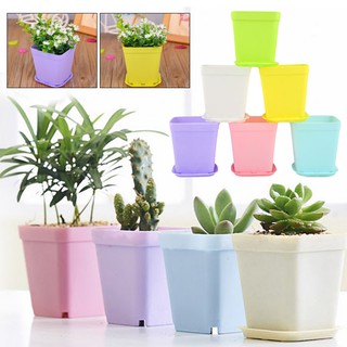 【ULove】Ins -Mini Chậu cây kiểng Hoa vuông vuông hoa phong cách đơn giản Trang trí nhà xinh xắn ABS bình hoa