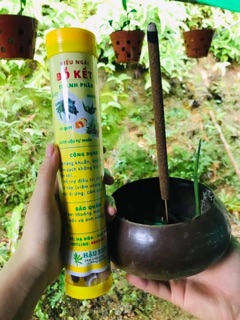 Điếu bồ kết ngũ hành xông nhà tăng sinh khí, vượng khí
