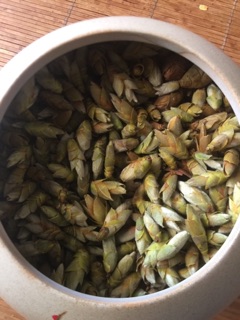 Trà Đuôi Rồng -250g