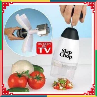 ( Nguyenthuky879 ) ( CC2016 ) Xay củ quả Slap Chop - br00422