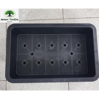 Combo 8 khay chậu nhựa trồng rau màu đen