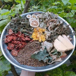 Trà lá nam giảm cân tan mỡ