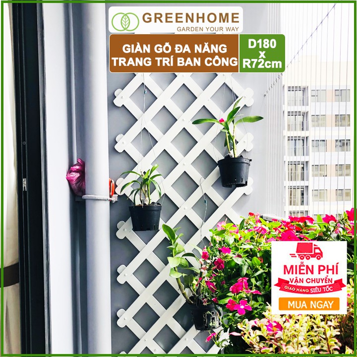 Giàn gỗ treo ban công, R72xC180cm, màu trắng, làm khung hoa hồng leo, cây leo, bông giấy, vách trang trí |Greenhome