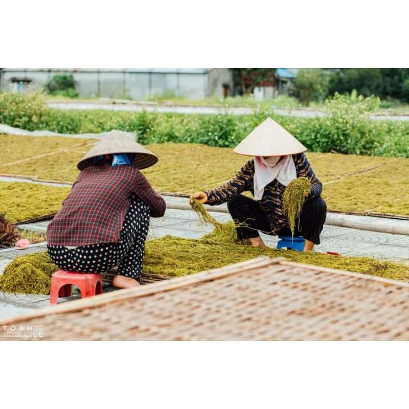 [CHÍNH GỐC] Thuốc Lào Tiên Lãng Hải Phòng