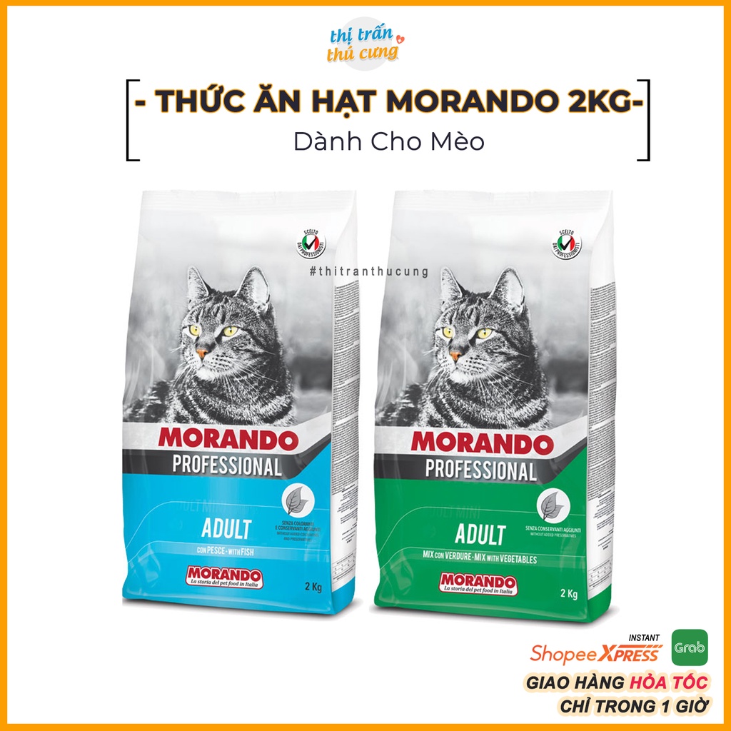 Thức ăn mèo hạt Morando Professional 2kg cho mèo lớn | Xuất Xứ Ý Morando