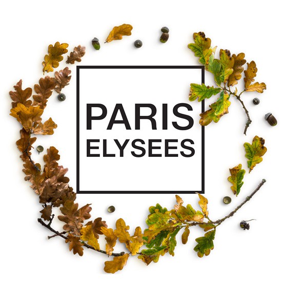 Nước hoa nữ Paris Elysees La Petite Fleur D'Amour 100ml