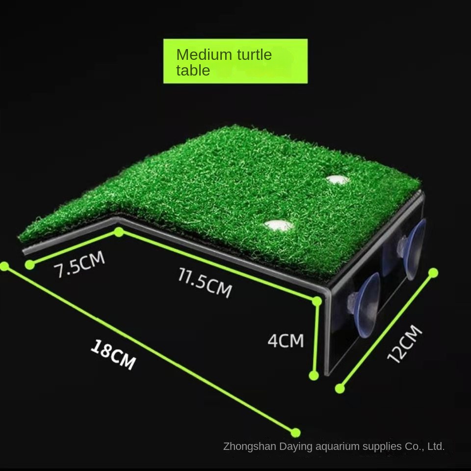 Mới Thang Khô Thoáng Cho Rùa Leo Trèo / Đế Xuồng Khô Mức Nước
