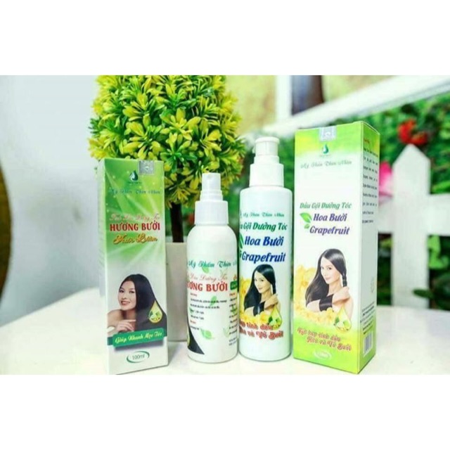 Combo dầu gội,xịt bưở